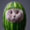 biancalunameow